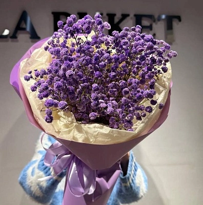 Комплимент из 5 фиолетовых гипсофил